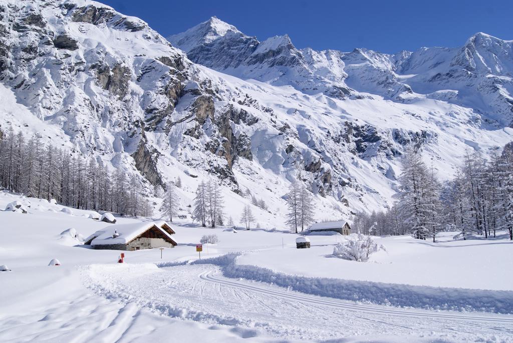 26 Praz De L'Ours Vallandry - Paradiski Appartement Peisey-Nancroix Buitenkant foto